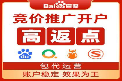 百度SEM推广策略：成功案例解析